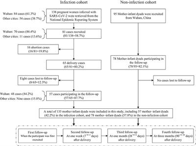 Effects of SARS-CoV-2 Infection During Late Pregnancy on Early Childhood Development: A Prospective Cohort Study